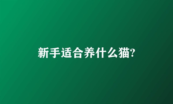 新手适合养什么猫?