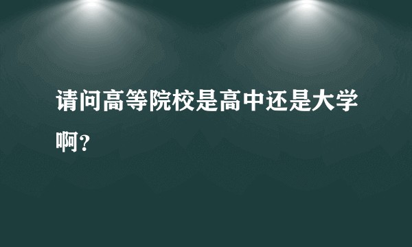 请问高等院校是高中还是大学啊？