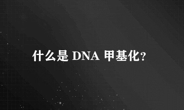 什么是 DNA 甲基化？