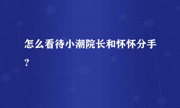 怎么看待小潮院长和怀怀分手?