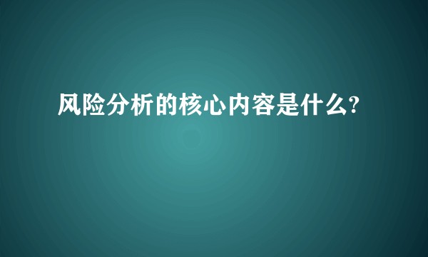 风险分析的核心内容是什么?