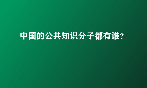 中国的公共知识分子都有谁？