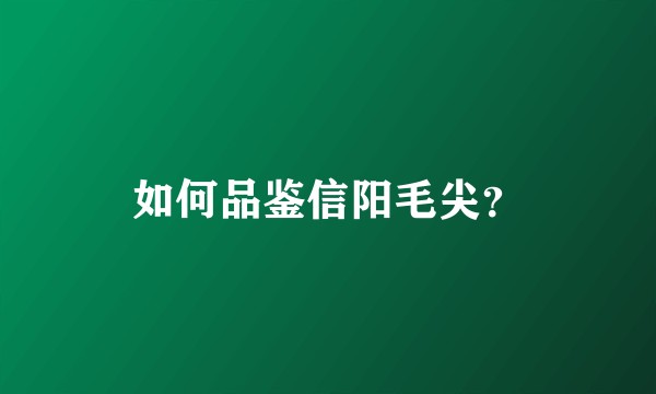 如何品鉴信阳毛尖？