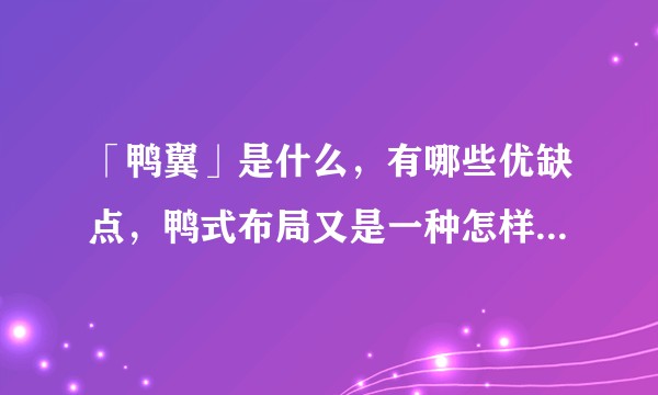 「鸭翼」是什么，有哪些优缺点，鸭式布局又是一种怎样的布局？