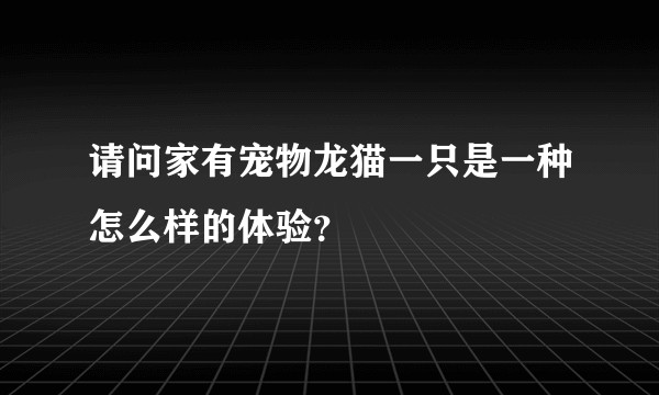 请问家有宠物龙猫一只是一种怎么样的体验?