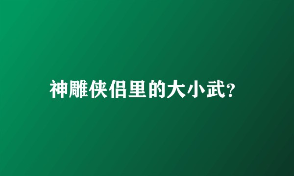 神雕侠侣里的大小武?
