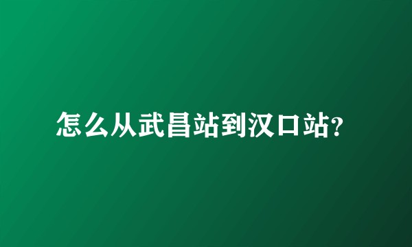怎么从武昌站到汉口站？