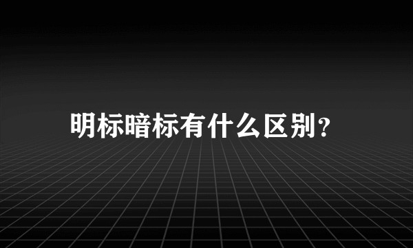 明标暗标有什么区别？