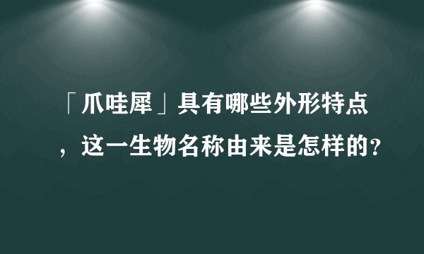 「爪哇犀」具有哪些外形特点，这一生物名称由来是怎样的？