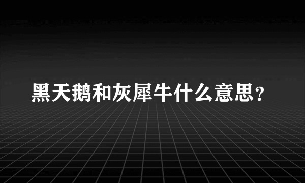 黑天鹅和灰犀牛什么意思？