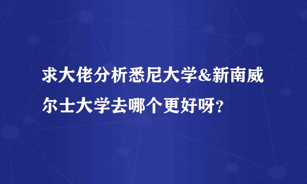求大佬分析悉尼大学&新南威尔士大学去哪个更好呀?