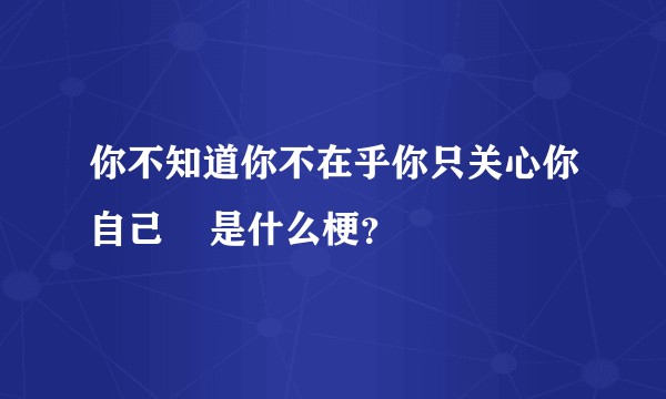 你不知道你不在乎你只关心你自己    是什么梗？