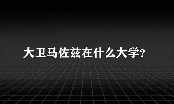 大卫马佐兹在什么大学？