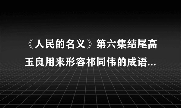 《人民的名义》第六集结尾高玉良用来形容祁同伟的成语“明眸善睐 顾盼生辉”用的是否准确？