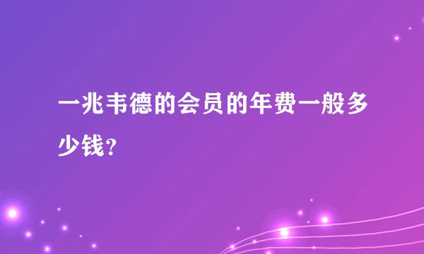 一兆韦德的会员的年费一般多少钱？