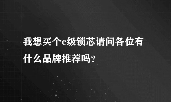 我想买个c级锁芯请问各位有什么品牌推荐吗？