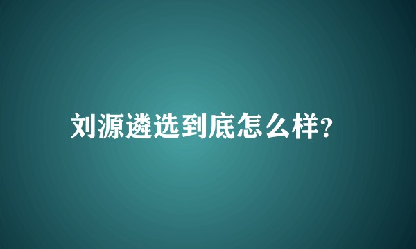刘源遴选到底怎么样？