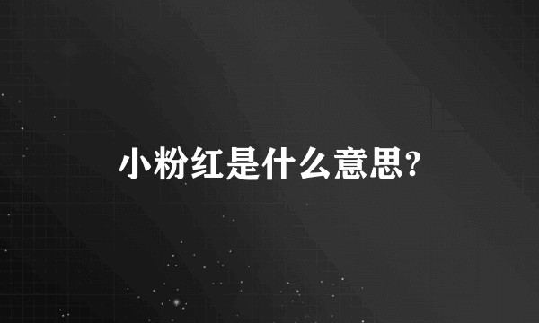 小粉红是什么意思?