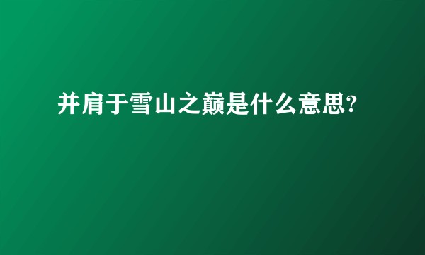 并肩于雪山之巅是什么意思?