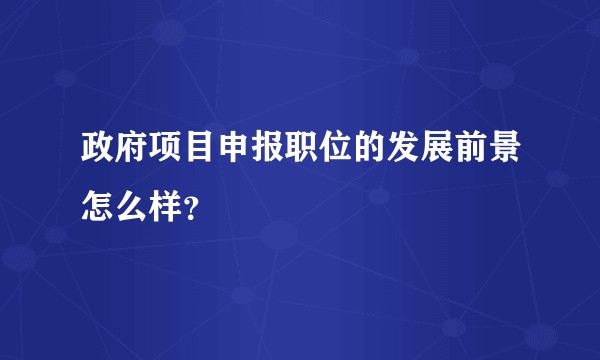 政府项目申报职位的发展前景怎么样?