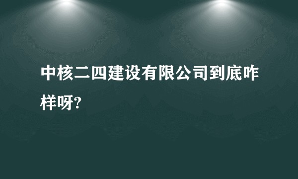 中核二四建设有限公司到底咋样呀?