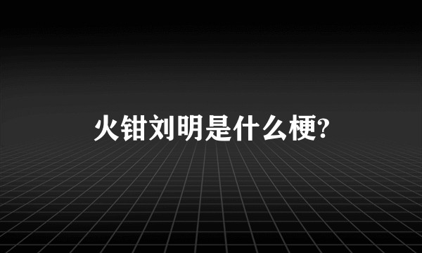 火钳刘明是什么梗?