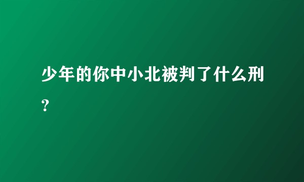 少年的你中小北被判了什么刑?
