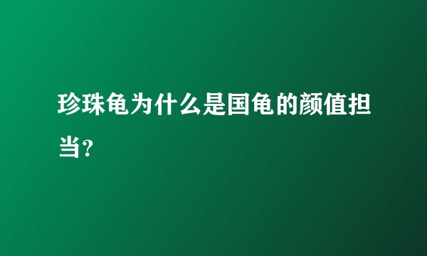 珍珠龟为什么是国龟的颜值担当？