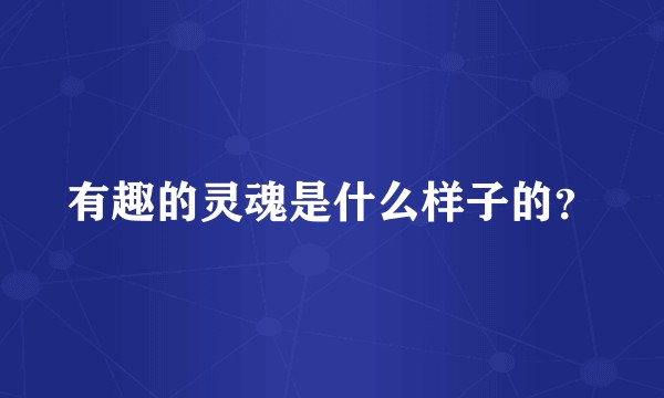 有趣的灵魂是什么样子的？