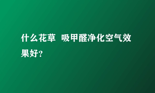 什么花草 吸甲醛净化空气效果好?