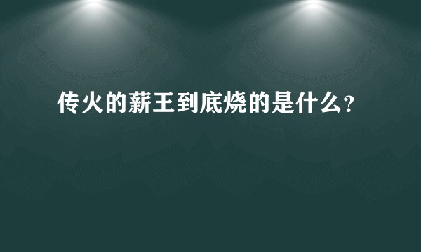 传火的薪王到底烧的是什么？