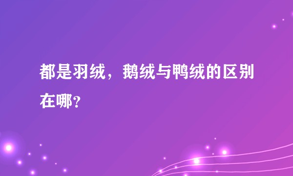 都是羽绒，鹅绒与鸭绒的区别在哪？