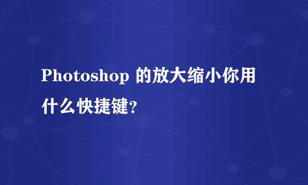 Photoshop 的放大缩小你用什么快捷键?