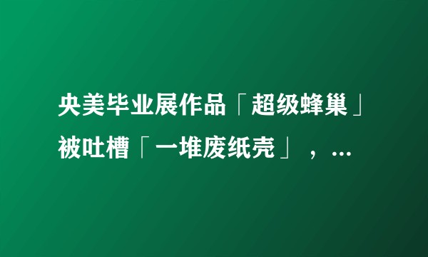 央美毕业展作品「超级蜂巢」被吐槽「一堆废纸壳」 ，作者道歉称造价上万精心设计，你对这个作品有何理解？