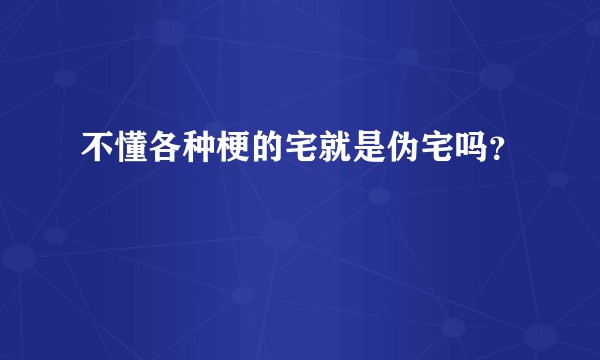 不懂各种梗的宅就是伪宅吗？