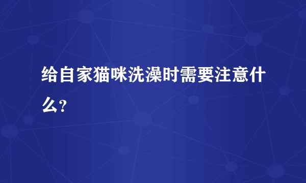 给自家猫咪洗澡时需要注意什么？