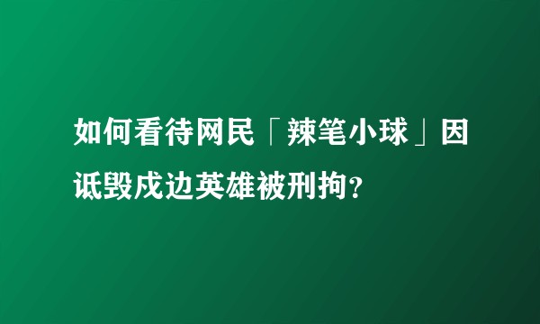 如何看待网民「辣笔小球」因诋毁戍边英雄被刑拘？