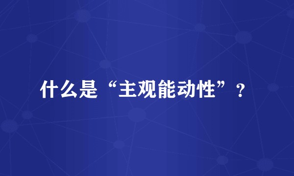 什么是“主观能动性”？