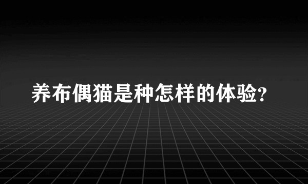养布偶猫是种怎样的体验？