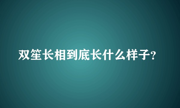 双笙长相到底长什么样子?