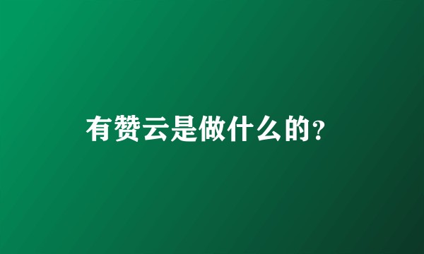 有赞云是做什么的？