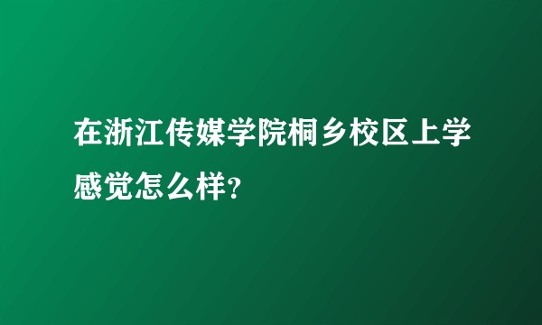 在浙江传媒学院桐乡校区上学感觉怎么样？