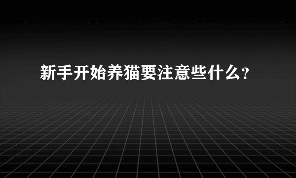 新手开始养猫要注意些什么?