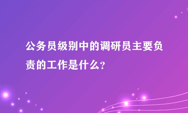 公务员级别中的调研员主要负责的工作是什么？