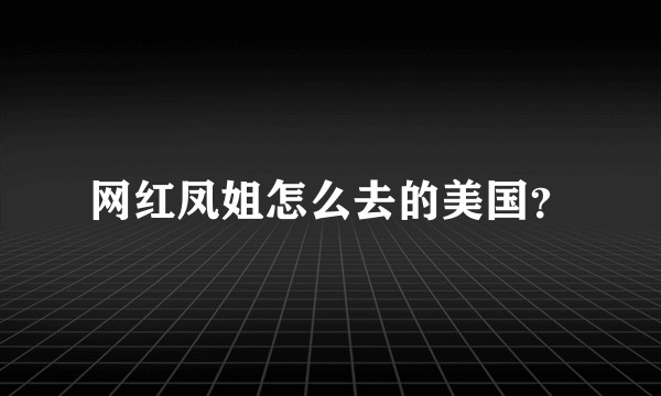 网红凤姐怎么去的美国？