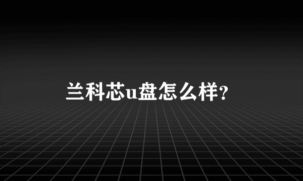 兰科芯u盘怎么样？
