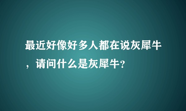 最近好像好多人都在说灰犀牛，请问什么是灰犀牛？