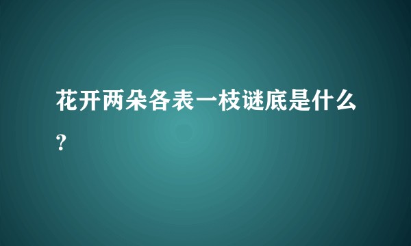 花开两朵各表一枝谜底是什么？