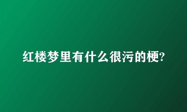 红楼梦里有什么很污的梗?