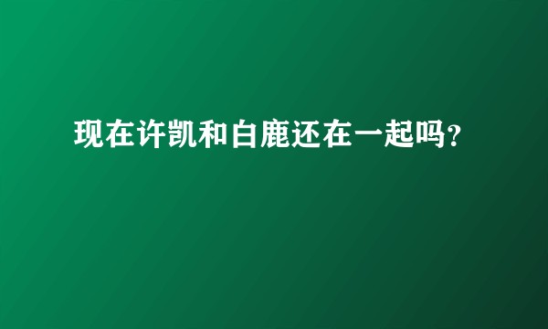 现在许凯和白鹿还在一起吗？